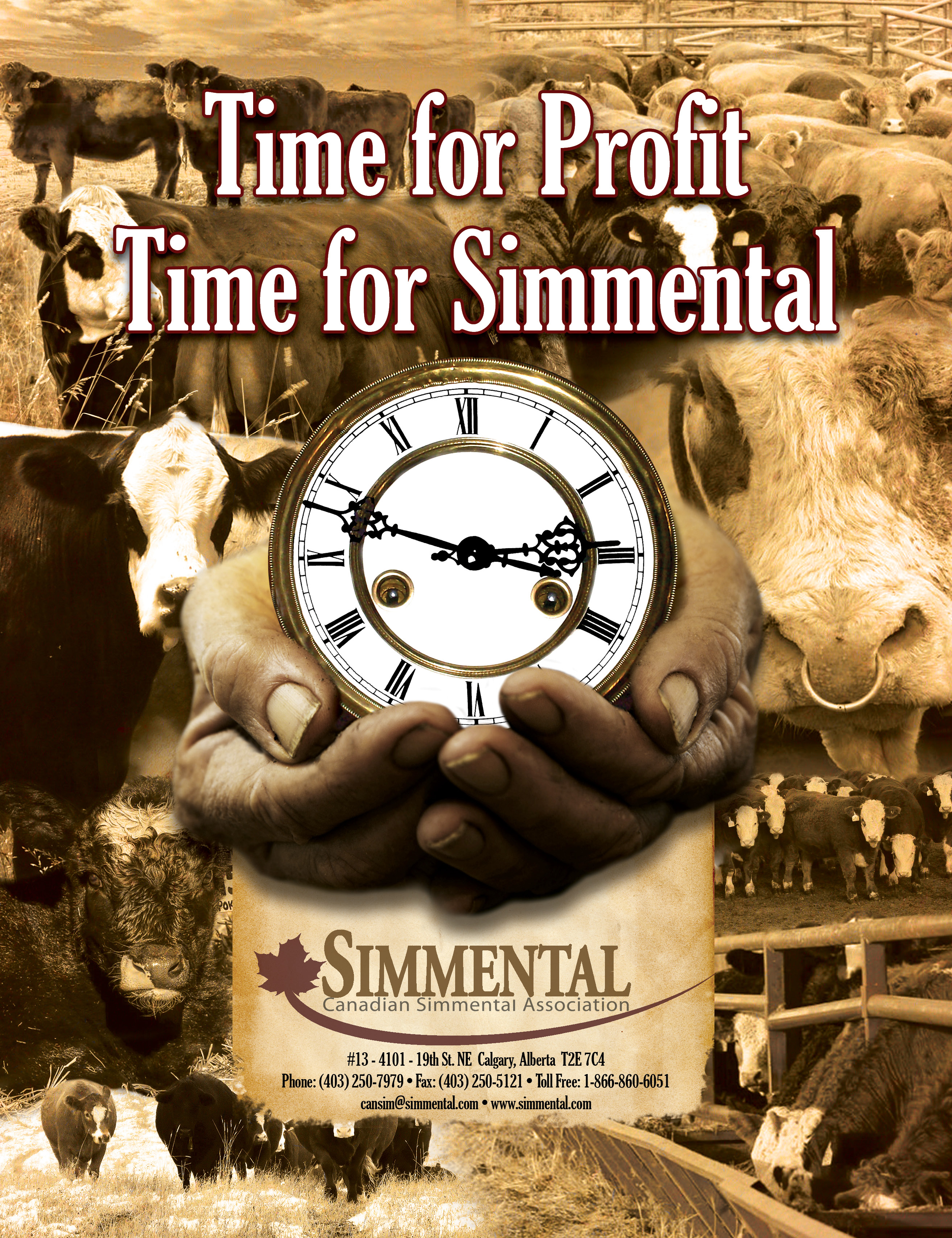 “Time for Simmental” advertisement (PDF)
