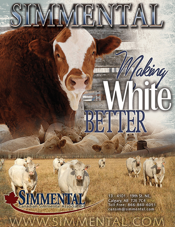 “White, Better” advertisement (PDF)