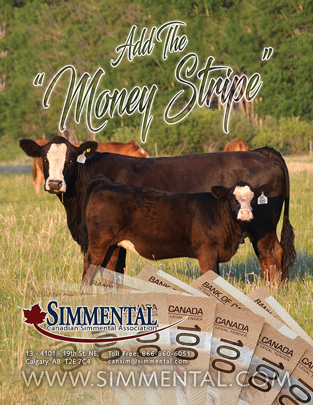 “Money Stripe” advertisement (PDF)