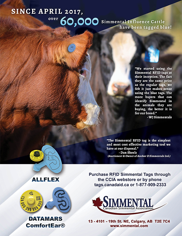 RFID tags advertisement, October 2020 (PDF)