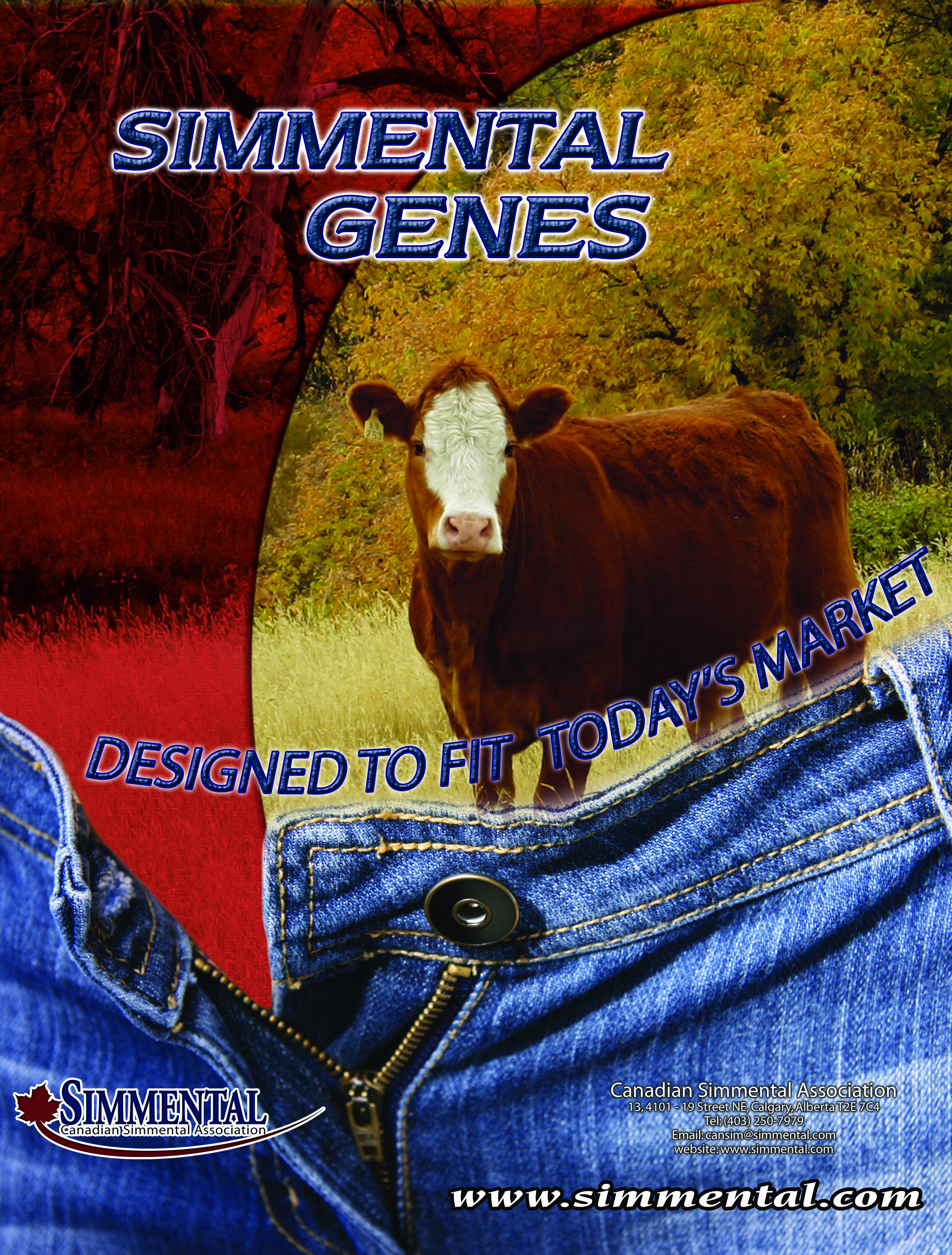 “Simmental Genes” advertisement (PDF)