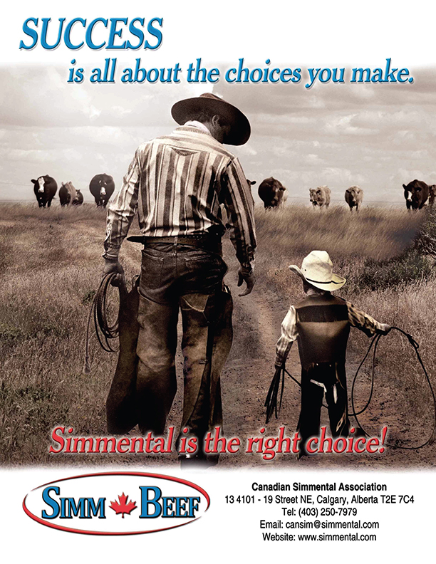“Success” advertisement (PDF)