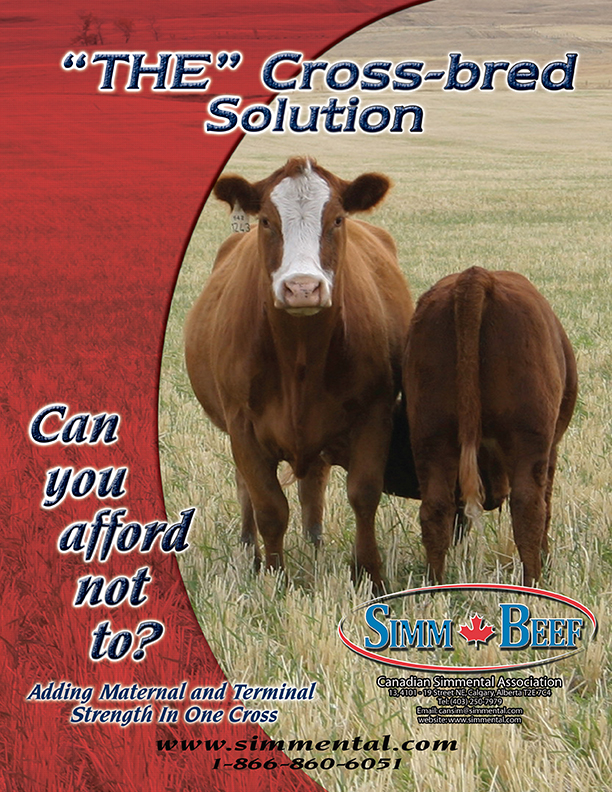 Total Herd Enrolment advertisement (PDF)
