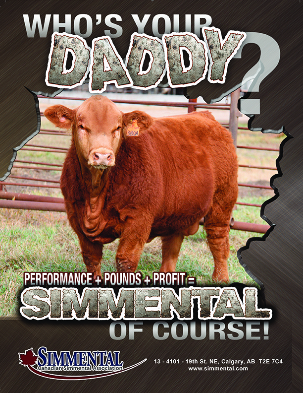 “Who’s Your Daddy” advertisement (PDF)