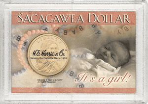 Sacagawea Small Dollar Frosty Case - Its a Girl