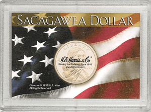 Sacagawea Dollar Frosty Case - American Flag