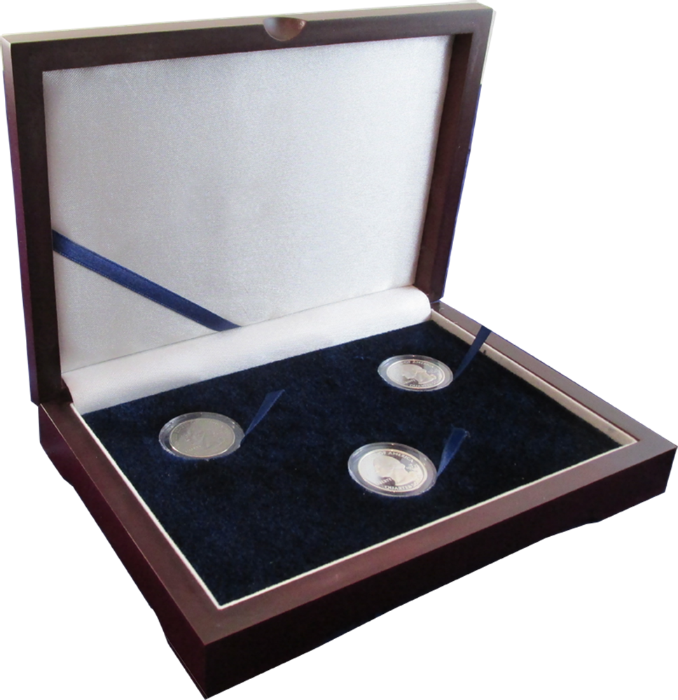 Solid Wood Top Coin Capsule Display Box ( 3 S )