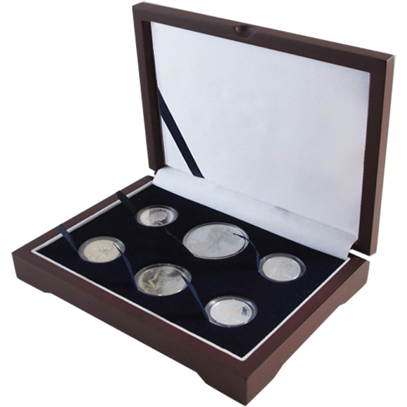 Solid Wood Top Coin Capsule Display Box ( 4 S , M , L ) - Dark Mahogany