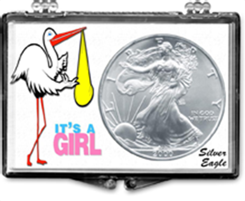 Edgar Marcus 1 oz American Silver Eagle Snaplock Case - Its a Girl w Stork