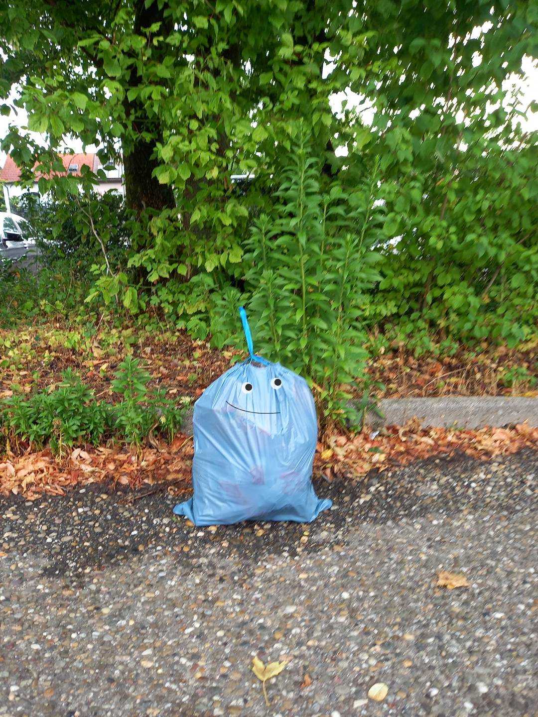 Cleanup in Kornwestheim