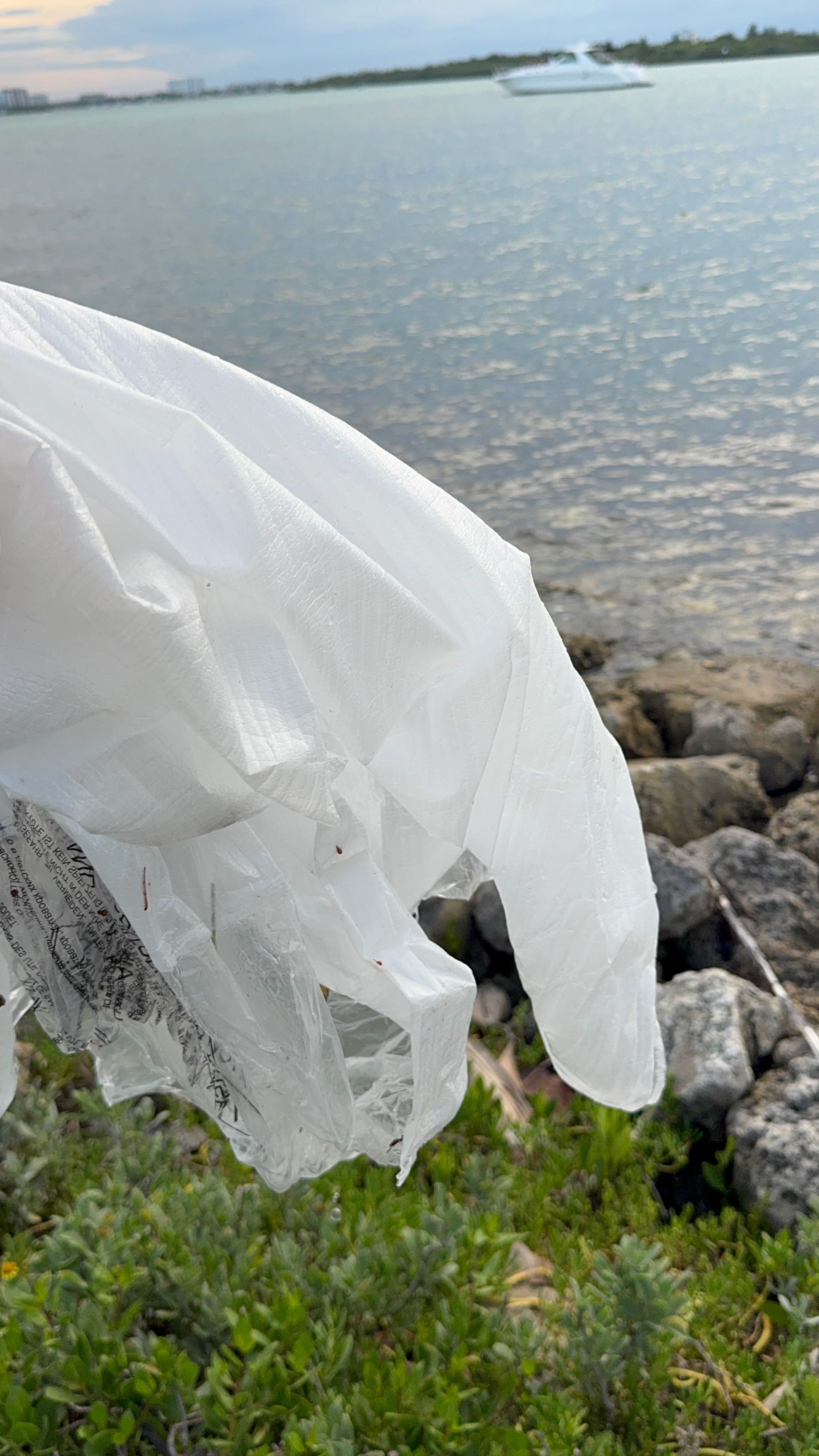 Cleanup in Miami Beach