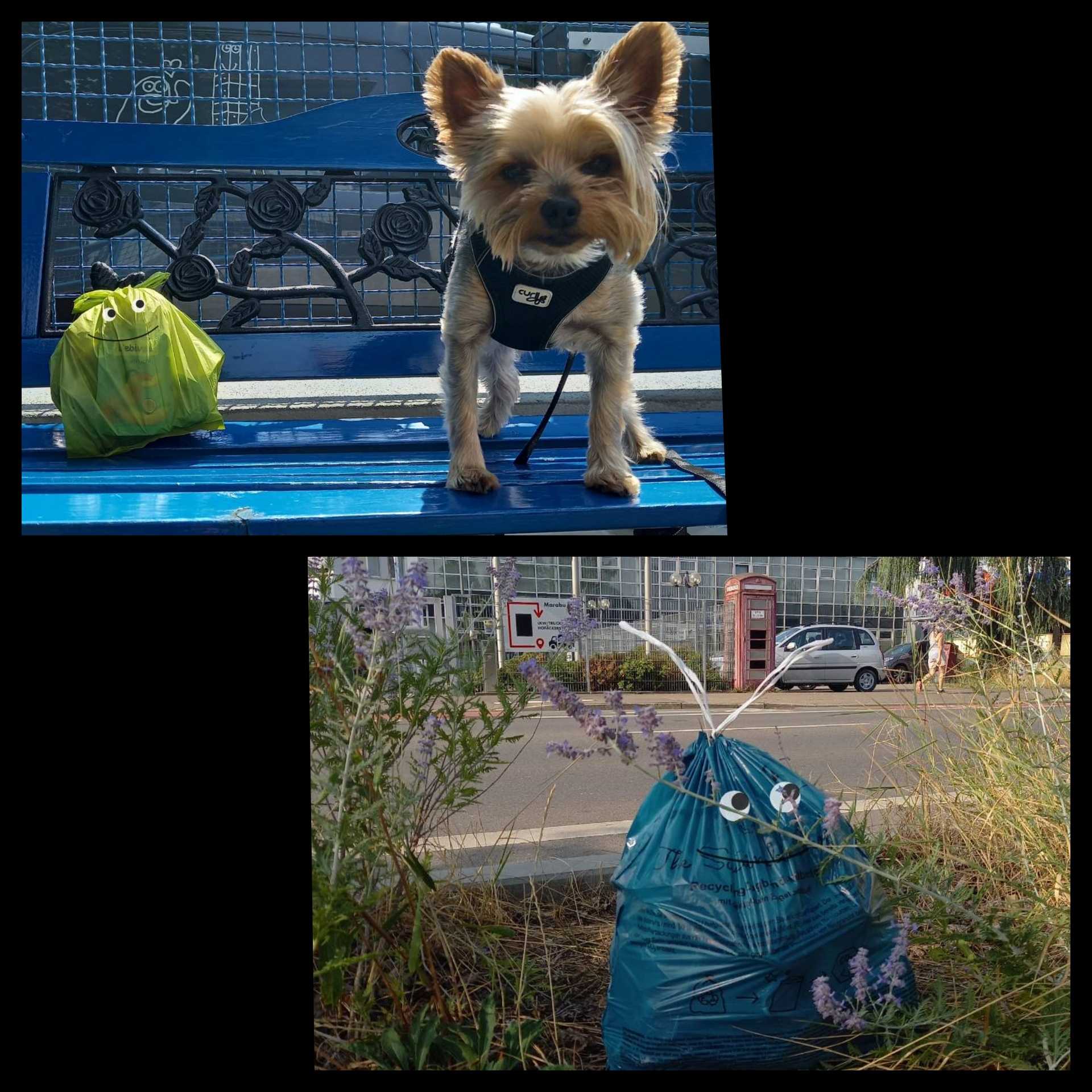 Cleanup in Tamm