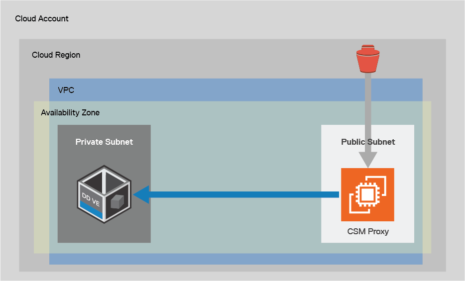 PowerProtect DDVE and CSM Proxy in the same VPC but different subnets