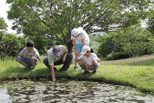 【CSR環境教育】環境保護奇蹟：從關渡自然公園到黑琵生態展示館