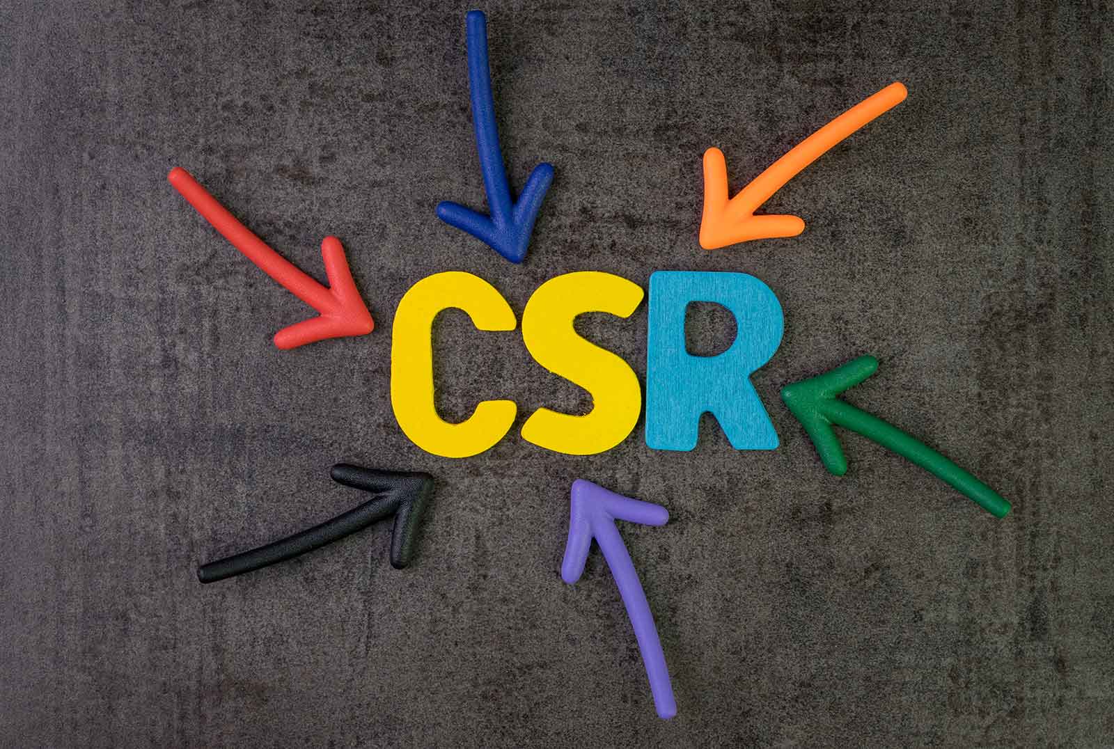 找不到csr的新梗 用vip三個面向讓你找到csr的獨特點 Csr 天下
