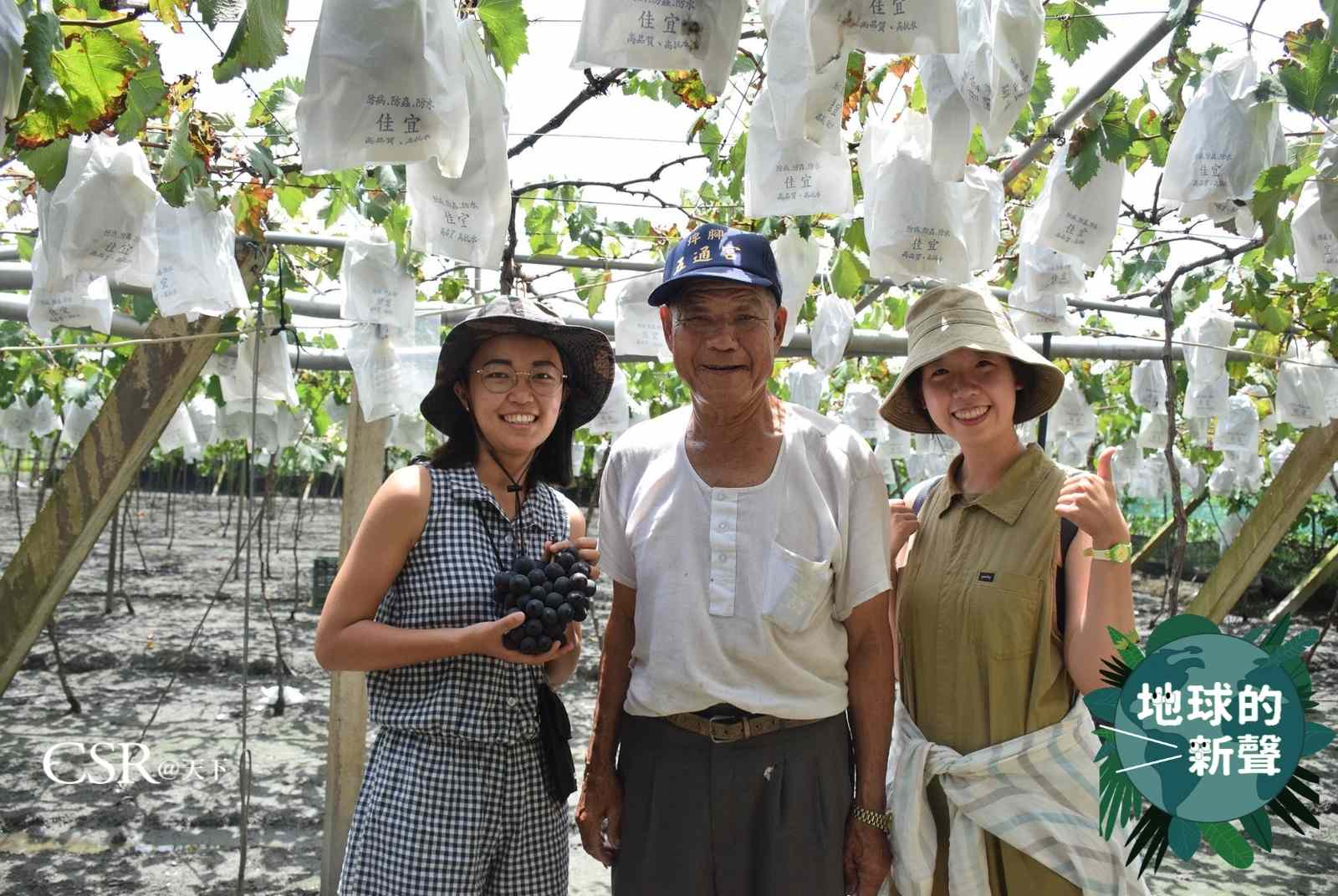 農廢變黑金　朝陽科大研發炭化爐，讓農民邊燒葡萄藤邊烤肉還減碳！
