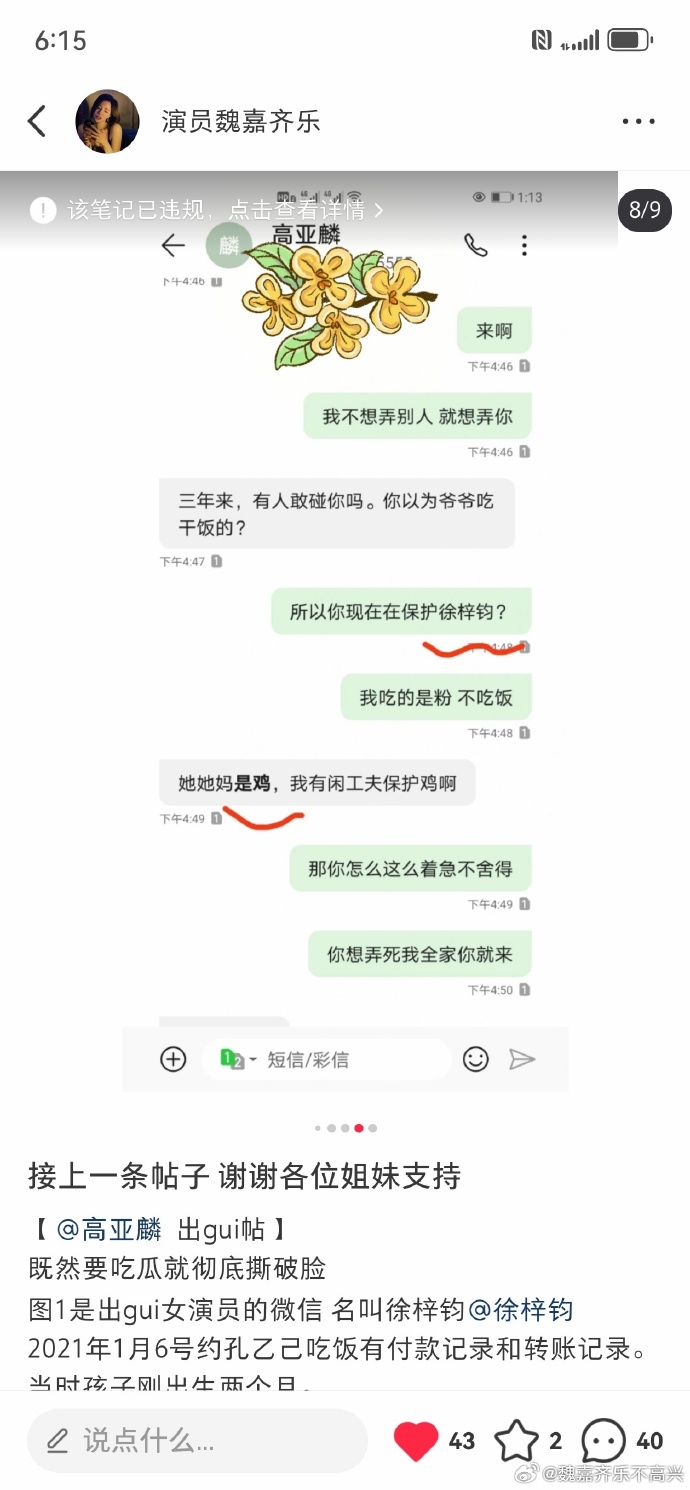 魏嘉公開與高亞麟的對話。(圖/翻攝自魏嘉微博)