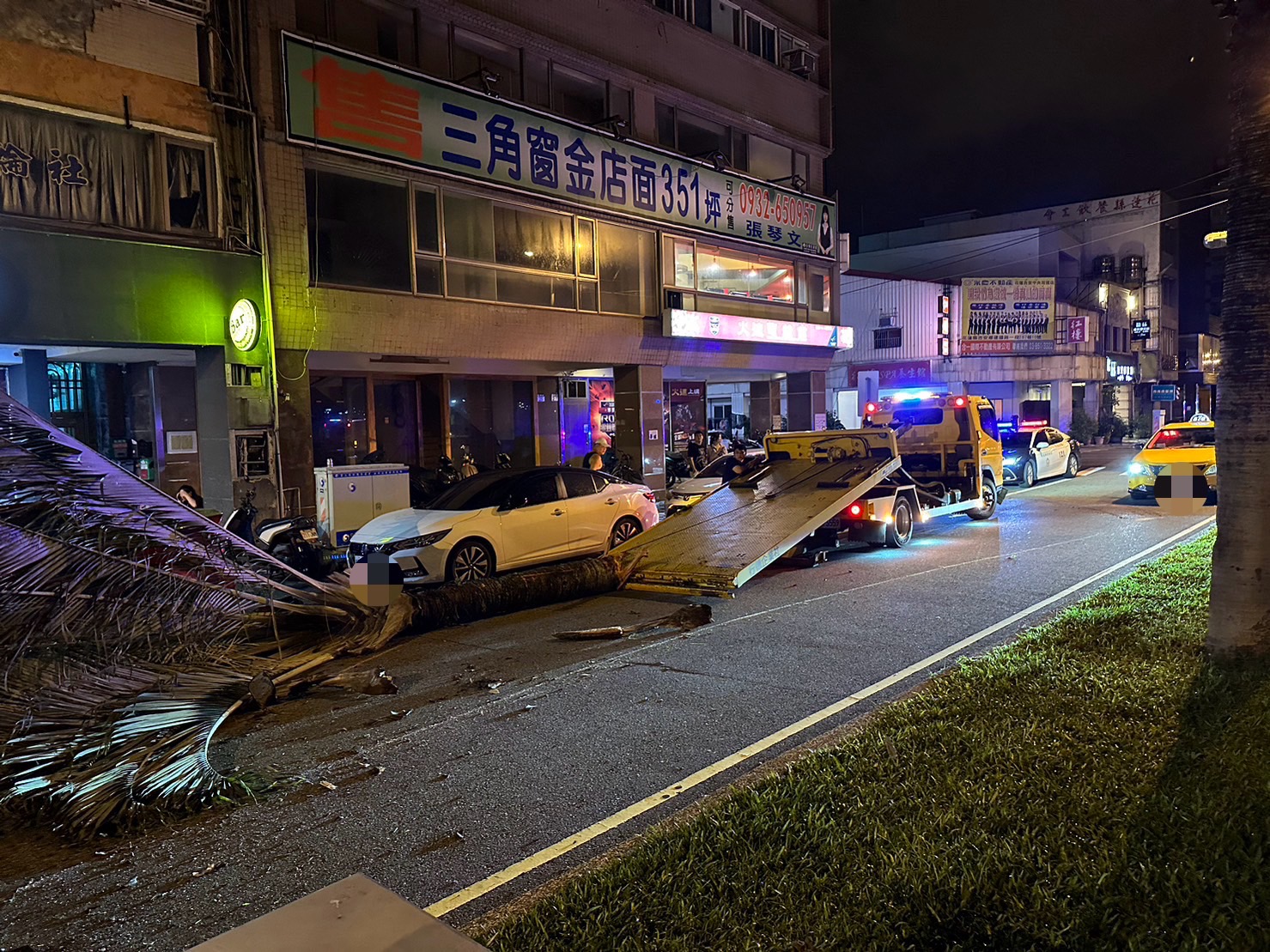 椰子樹被大貨車撞倒躺在馬路中央。（圖／警方提供）