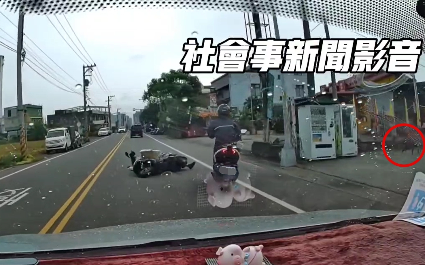 騎士遭黑狗衝撞後摔車，黑狗則繼續向右方跑去。（圖／社會事新聞影音）