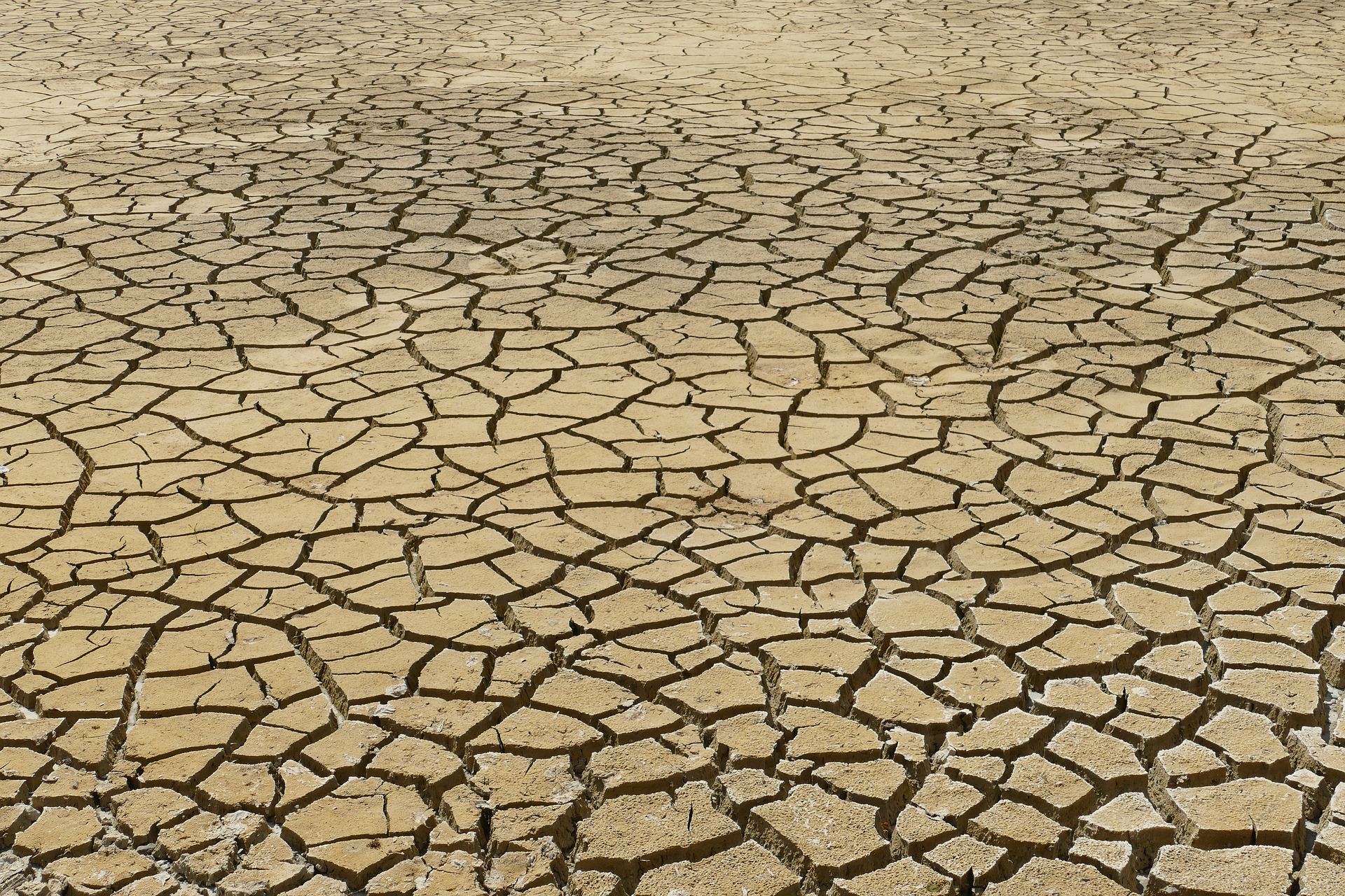世界已經目睹了極端氣候的破壞性影響。(圖/pixabay)