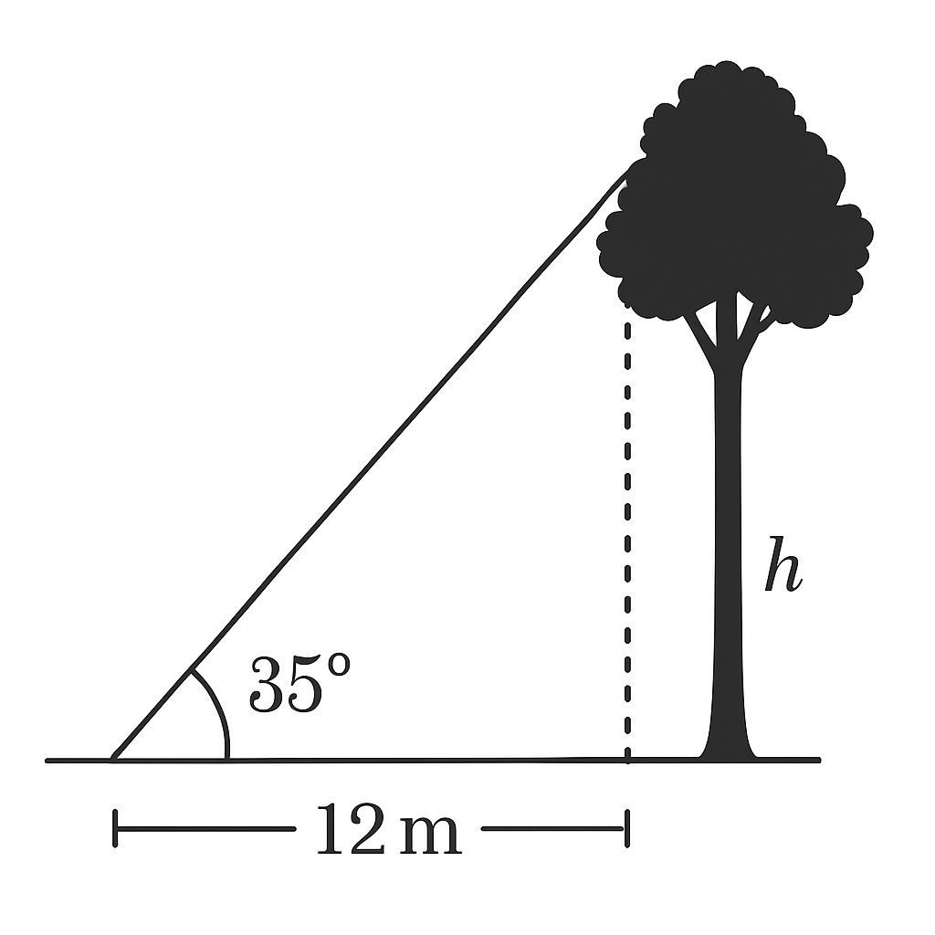 Question 1 Image