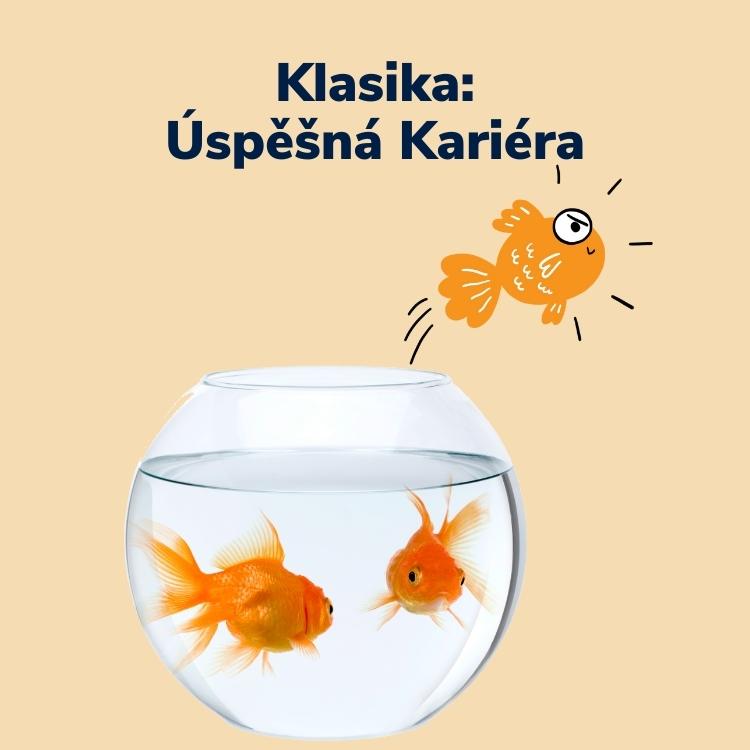 Klasika: Úspěšná Kariéra