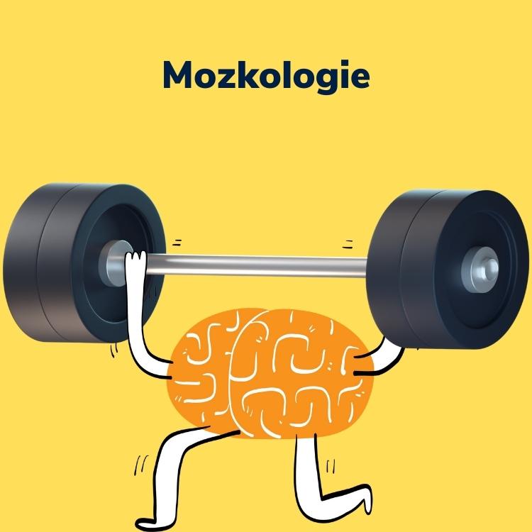 Mozkologie