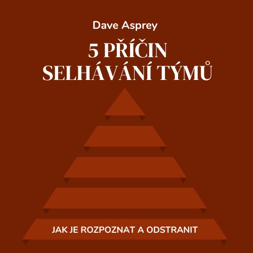 5 příčin selhávání týmů - obálka knihy