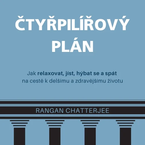 Čtyřpilířový plán - obálka knihy