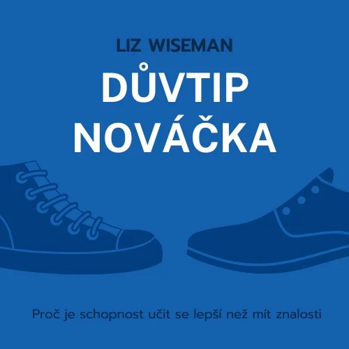 Důvtip nováčka - obálka knihy