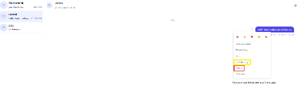 The message options menu showing the Edit and Delete actions