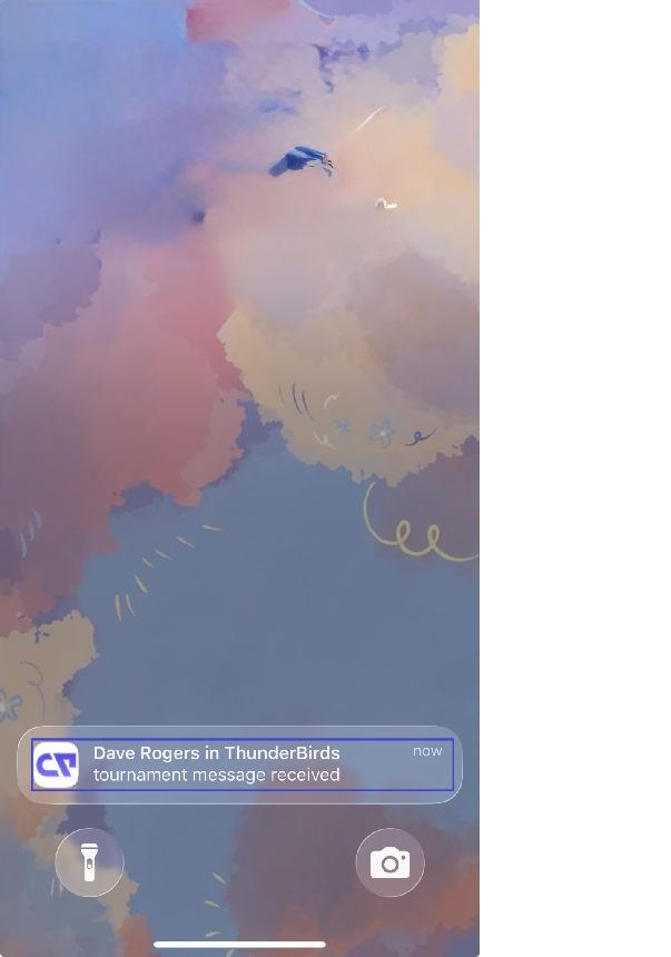 A mobile push notification for a new chat message