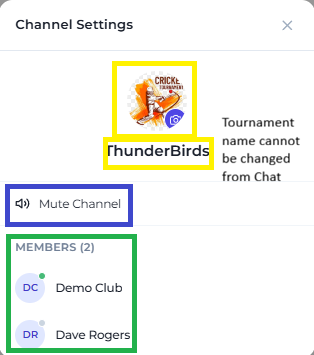 The tournament channel settings modal showing the avatar, read-only name and members