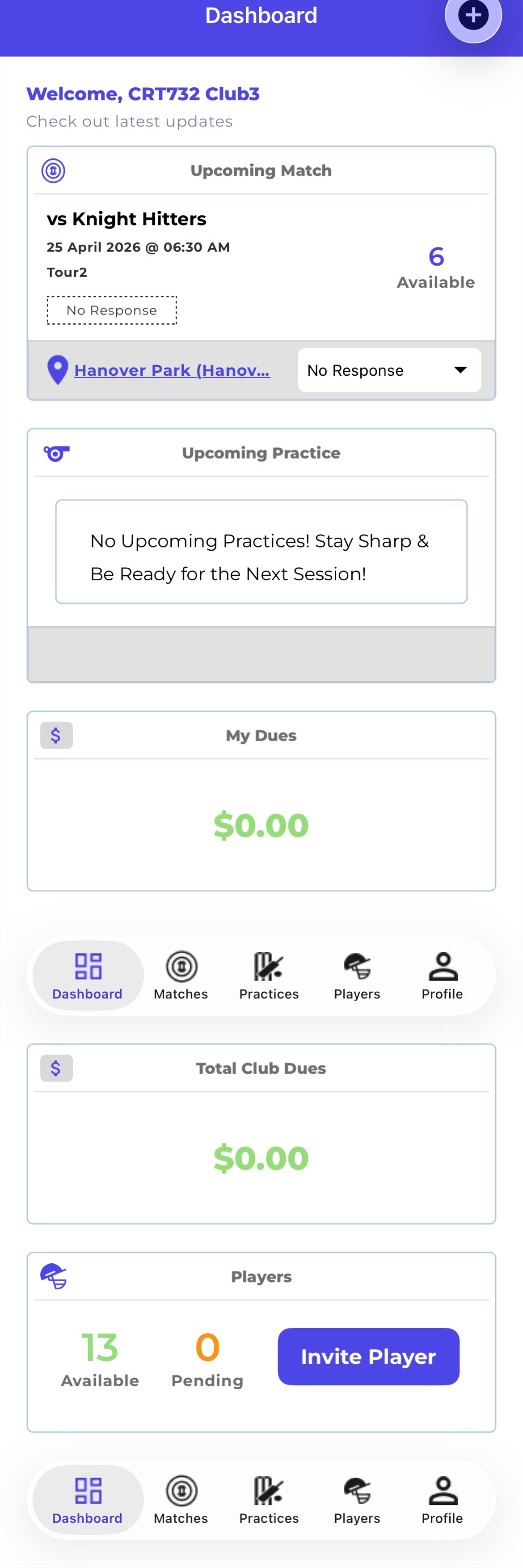 Mobile — Player Dashboard