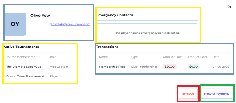 Player Detail Modal