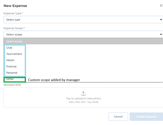 Player View — New Expense Expense Scope Dropdown