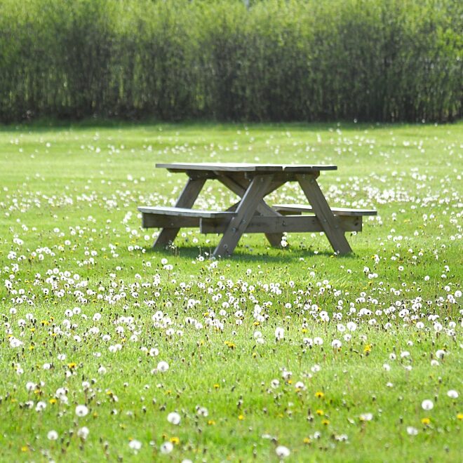 Picknickbank