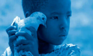 Avant premiere blue bird van gust van den berghe