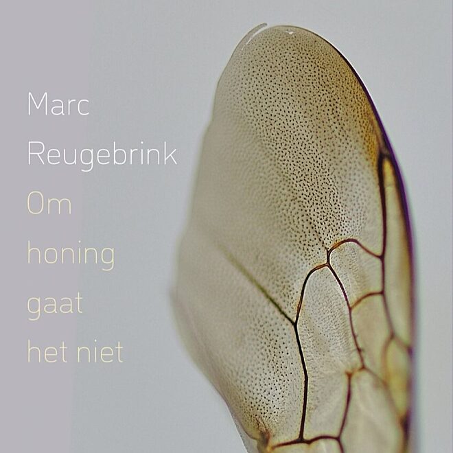 Mark Reugebrink2