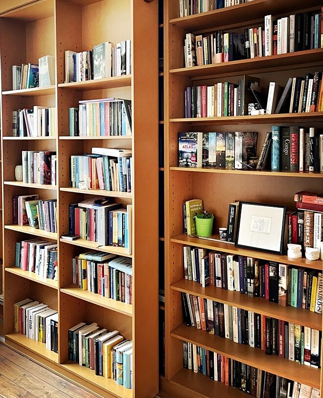 De boekenkast van Anja Daems e1684002499160