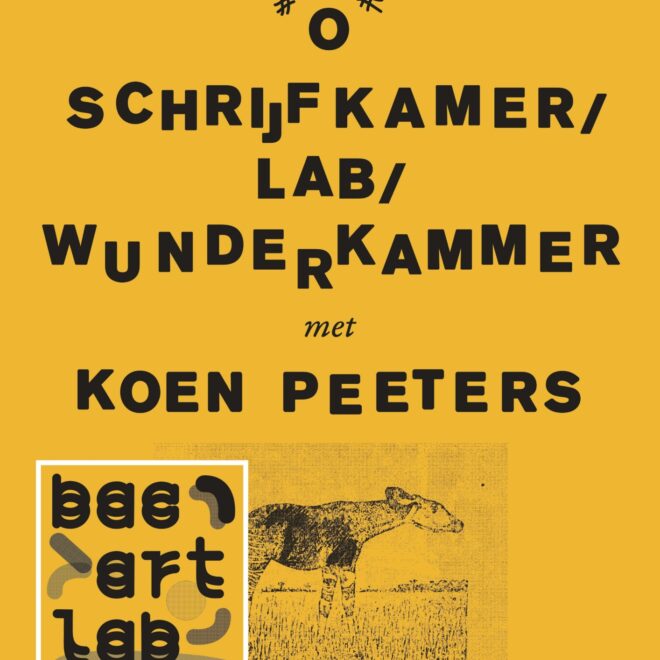 Schrijfkamer / Lab / Wunderkammer