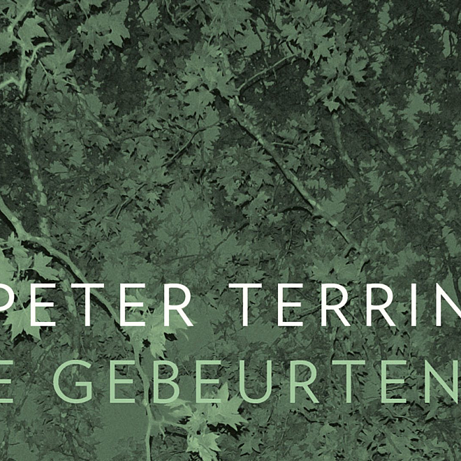 De gebeurtenis - Peter Terrin