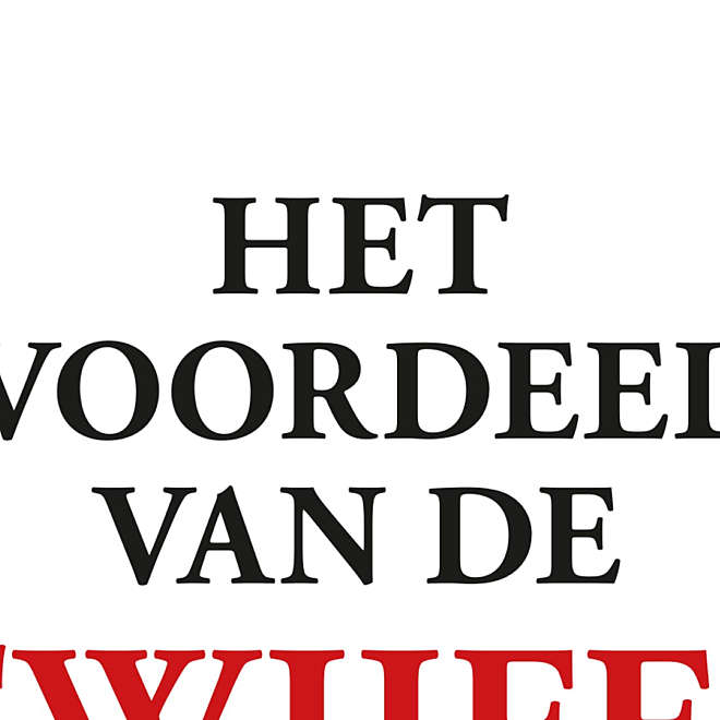 Het voordeel van de twijfel - Stefaan Van Brabandt