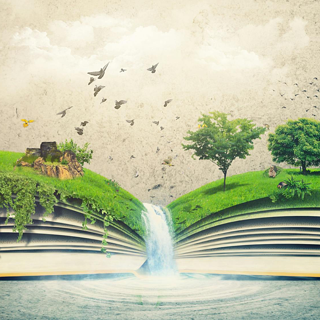 Climate Literacy in Children's Literature and Education