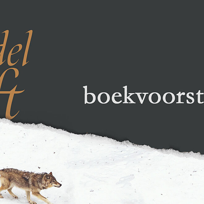 Boekvoorstelling: Roedeldrift - Chris Vanlangendonck