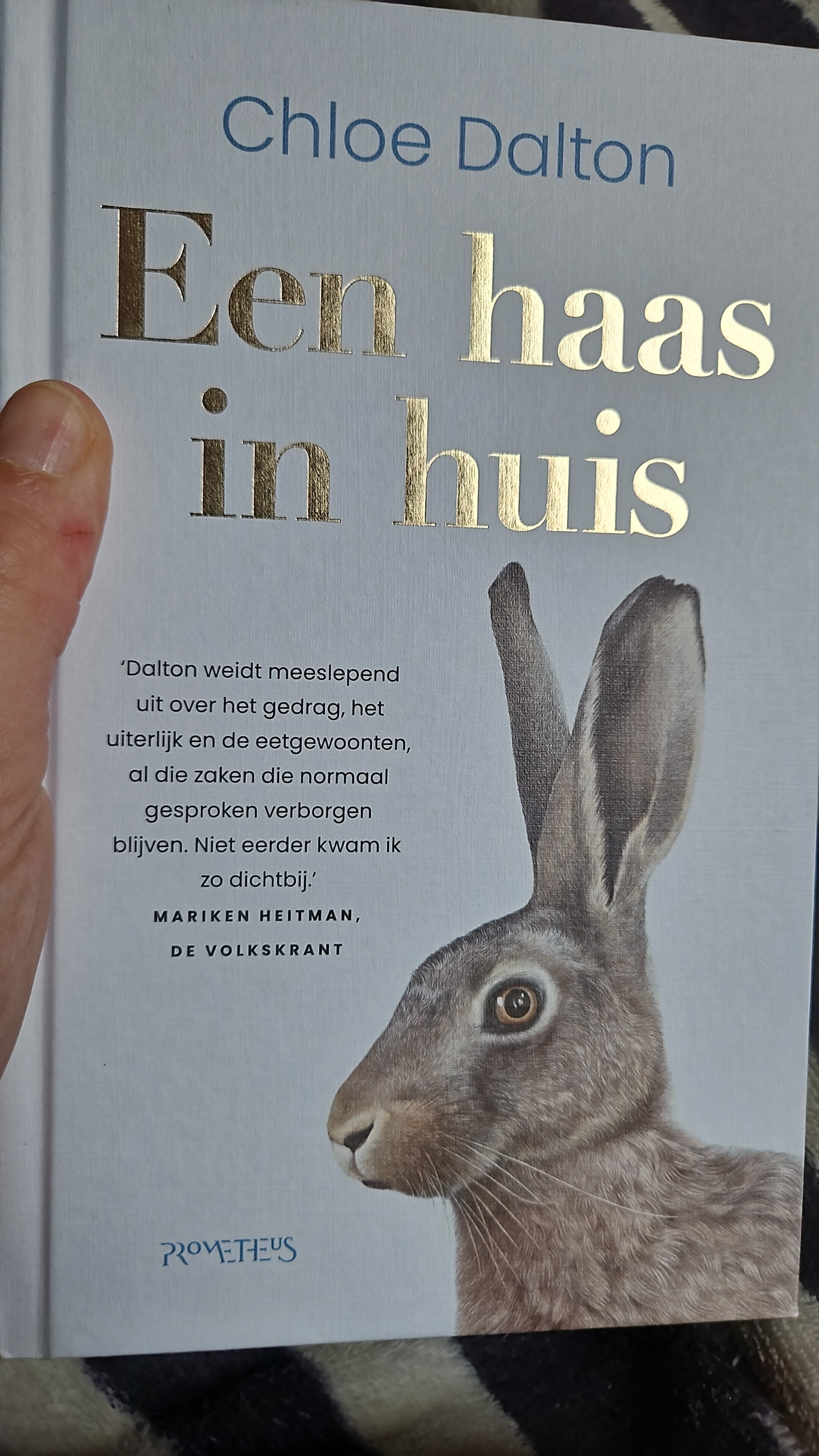 Een haas in huis
