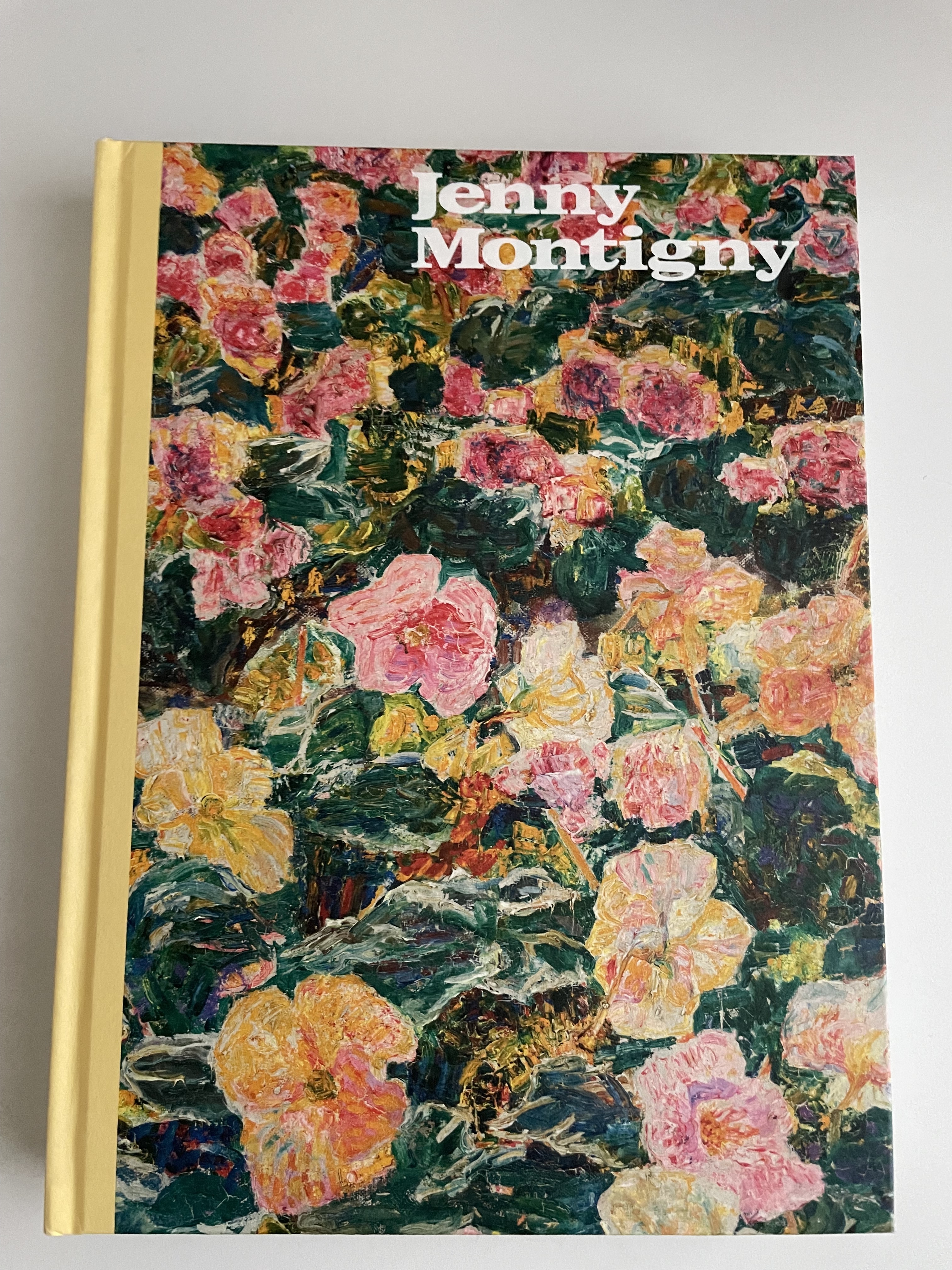 Jenny Montigny. De zon en het leven