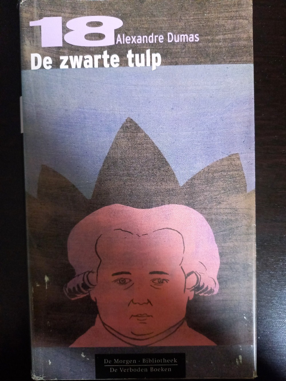 De zwarte tulp