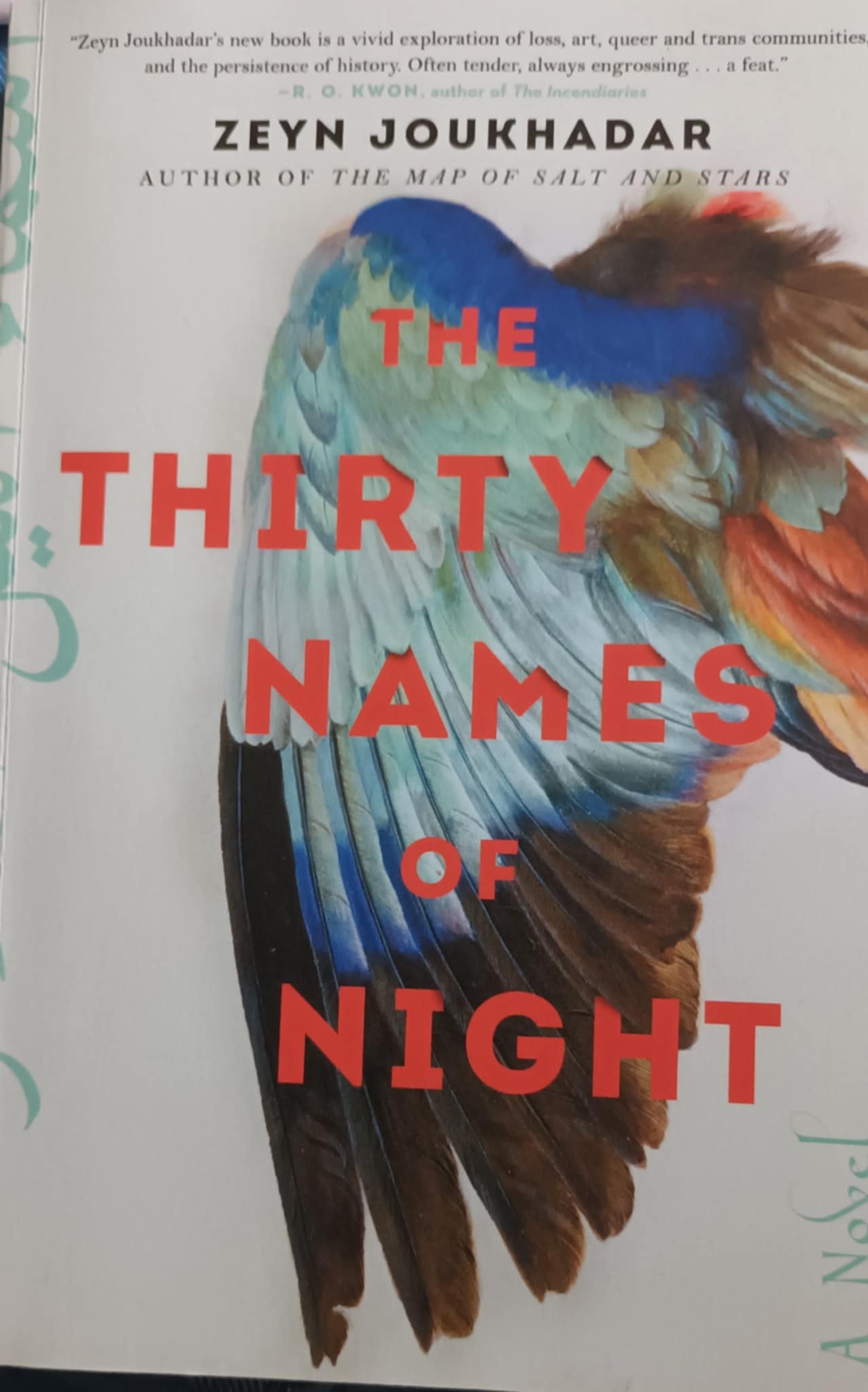 The thirty names of night : a novel