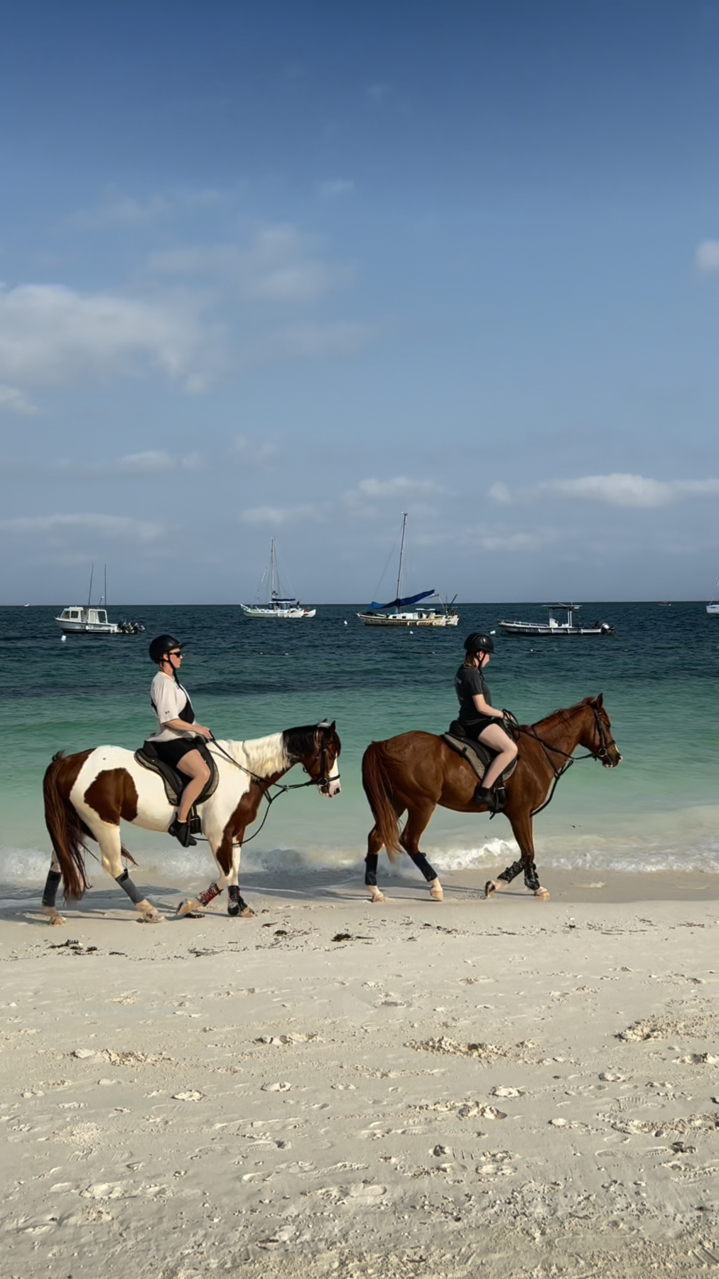 Adventure background